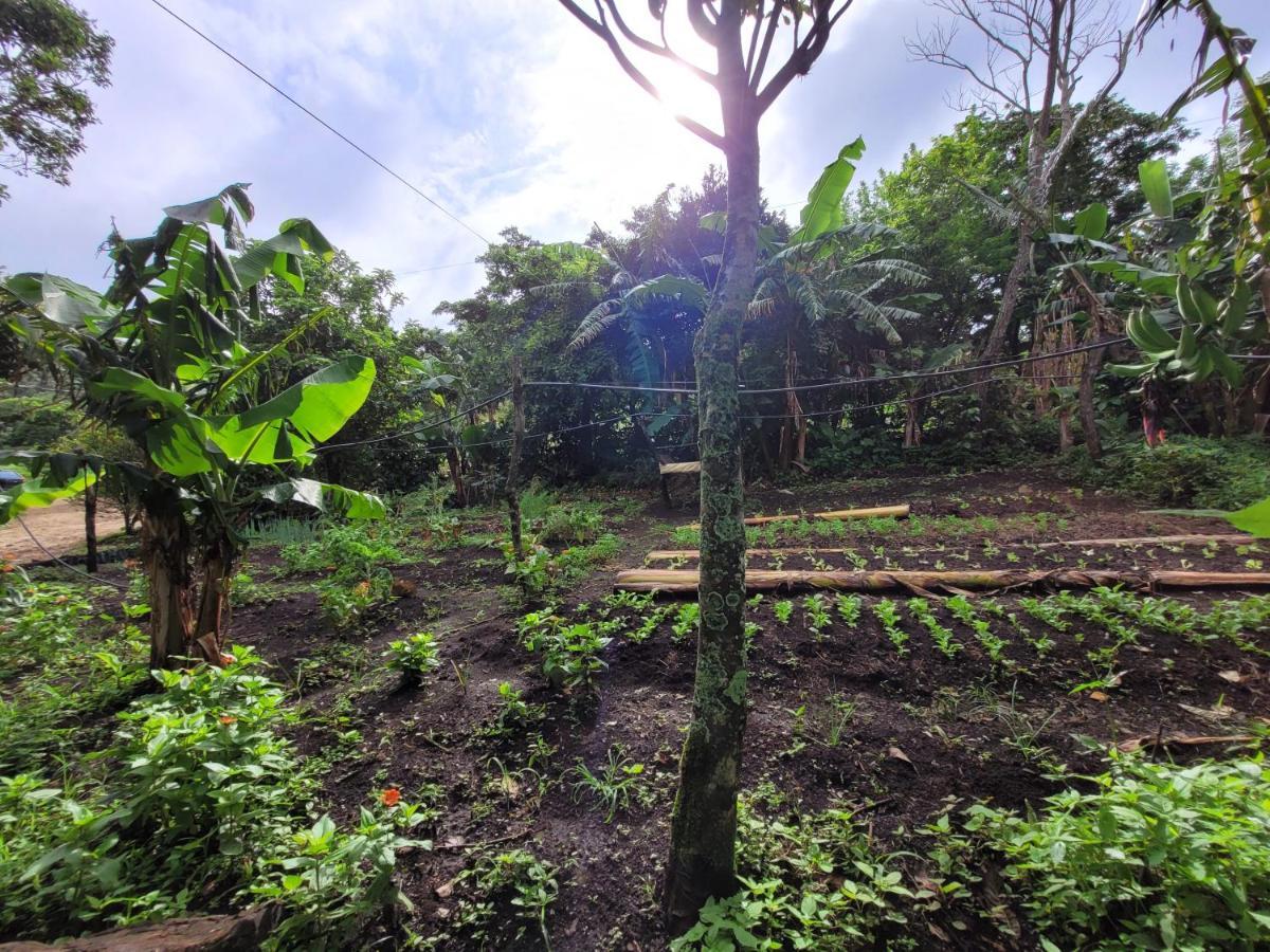 Granja Los Campesinos Monteverde Exterior foto